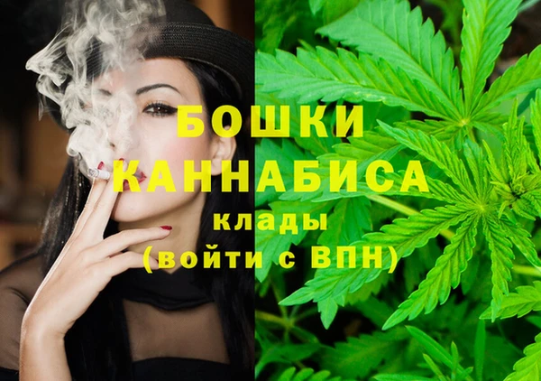 ПСИЛОЦИБИНОВЫЕ ГРИБЫ Аркадак