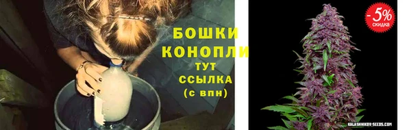 сатива Баксан